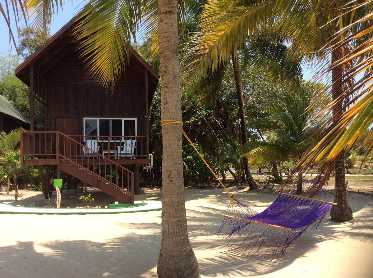 A hammock is hanging from a palm tree in front of a small wooden house.