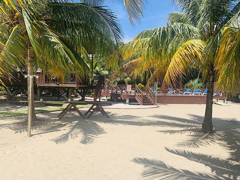 A picnic table is sitting on a sandy beach surrounded by palm trees.