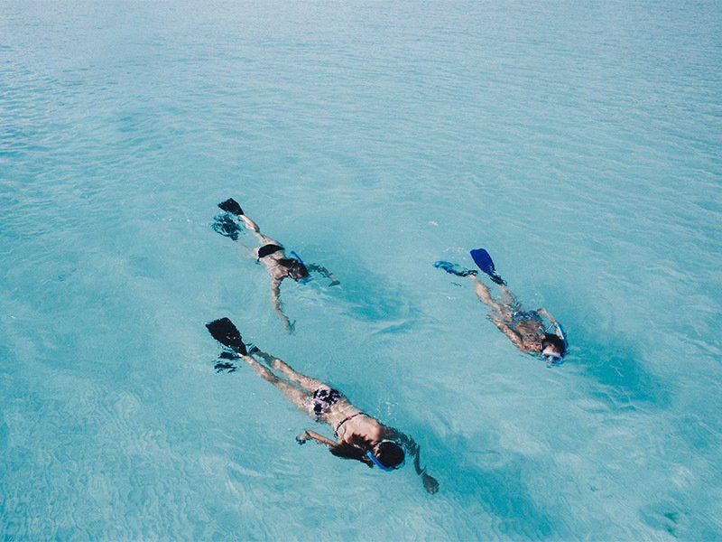 Three people are swimming in the ocean with flippers on.
