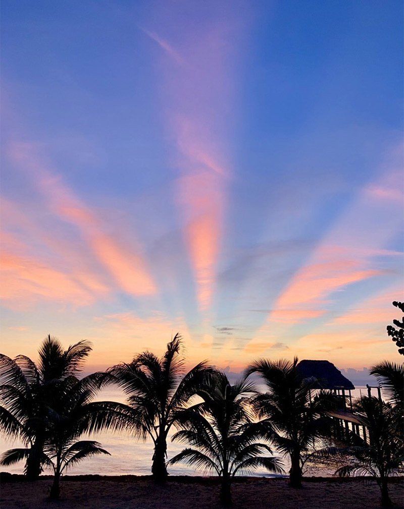 A sunset over a beach with palm trees in the foreground