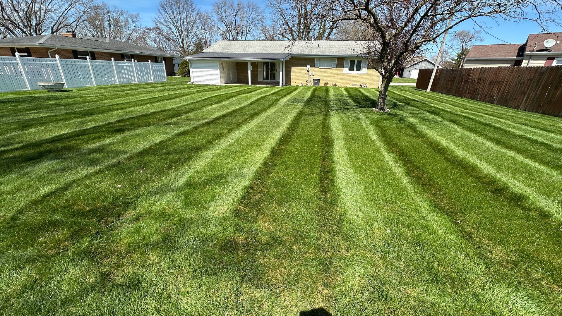 Backyard lawn with fresh mowing stripes, trees, and a small house in the background
