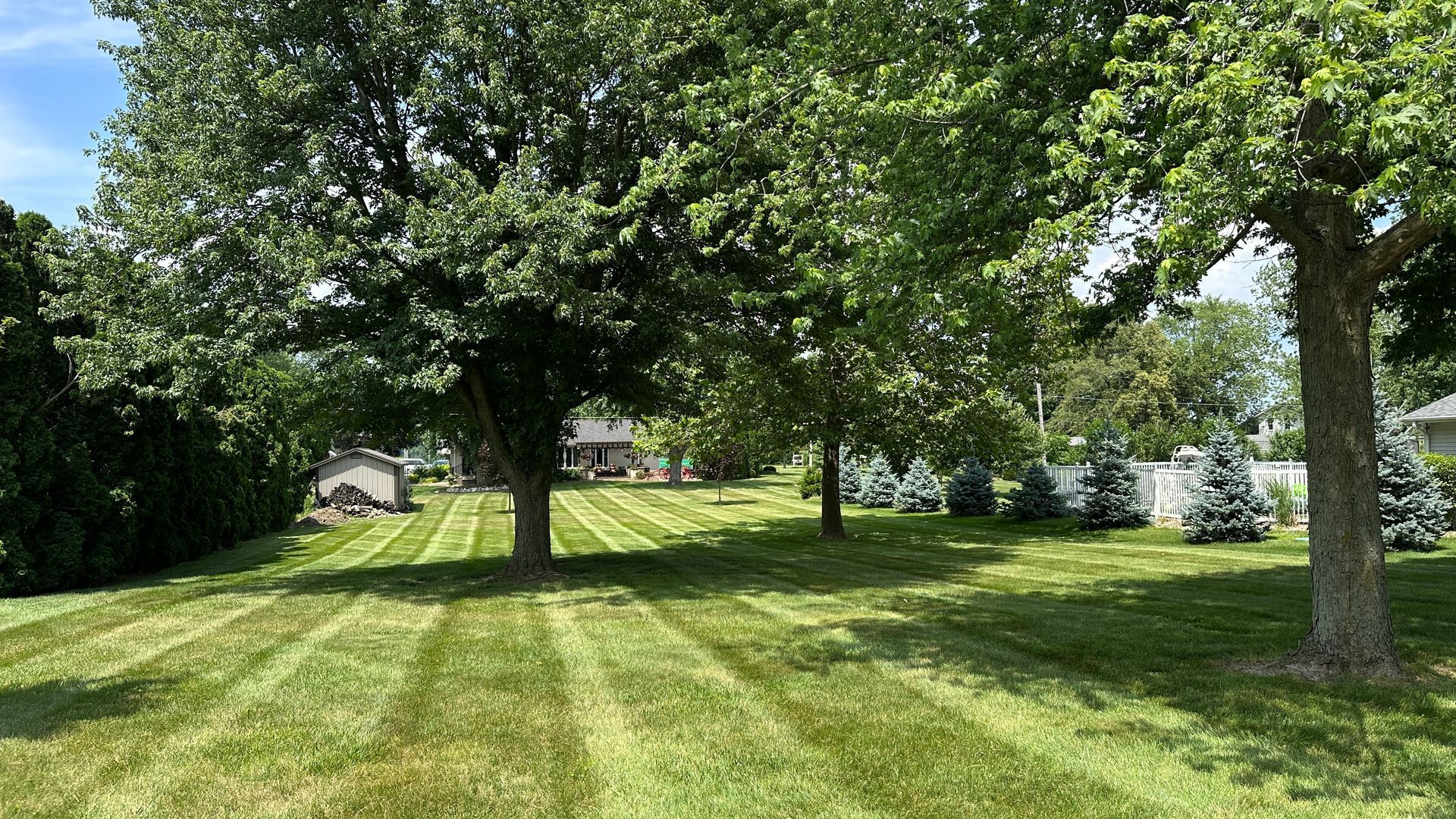 Shaded backyard lawn with trees, striped grass, and a house in the distance
