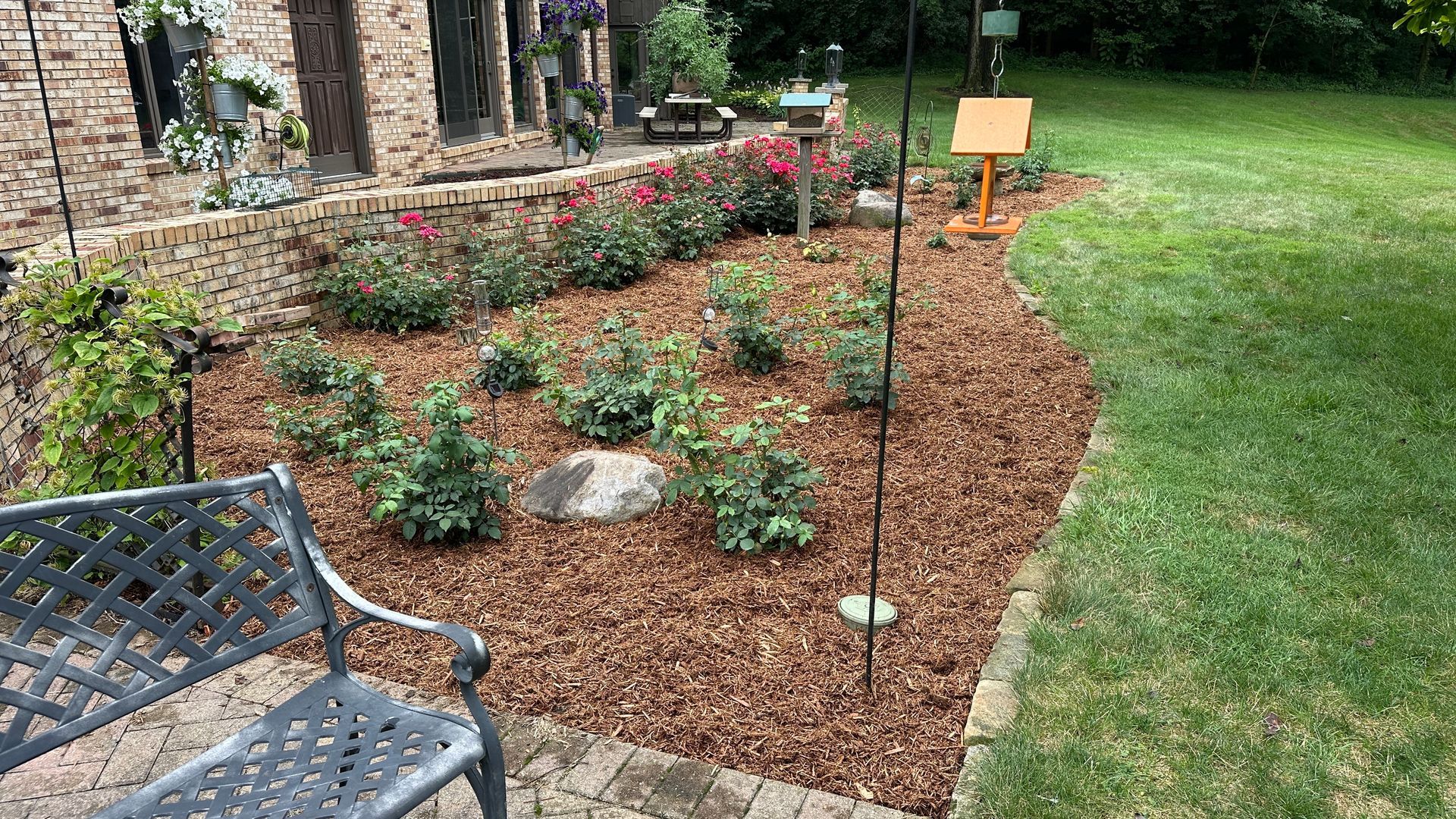 Mulched garden bed beside a lawn, with a bench, rocks, flowering shrubs, and plant labels.