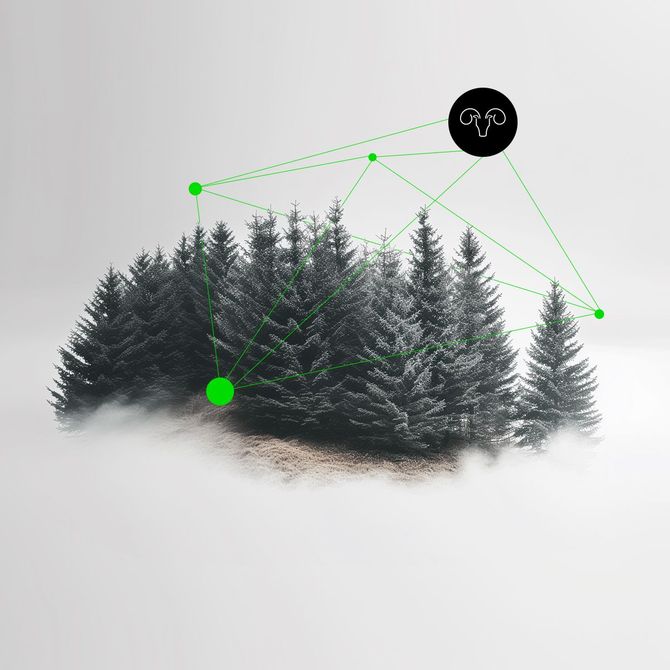 Ein Bild von einem Wald mit einem grünen Kreis in der Mitte.