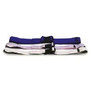 A blue and white belt with a black buckle on a white background.