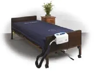 A hospital bed with a blue mattress and a plant on a nightstand.