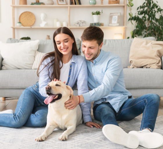Smiling couple sitting on a couch with a happy dog in a bright living room