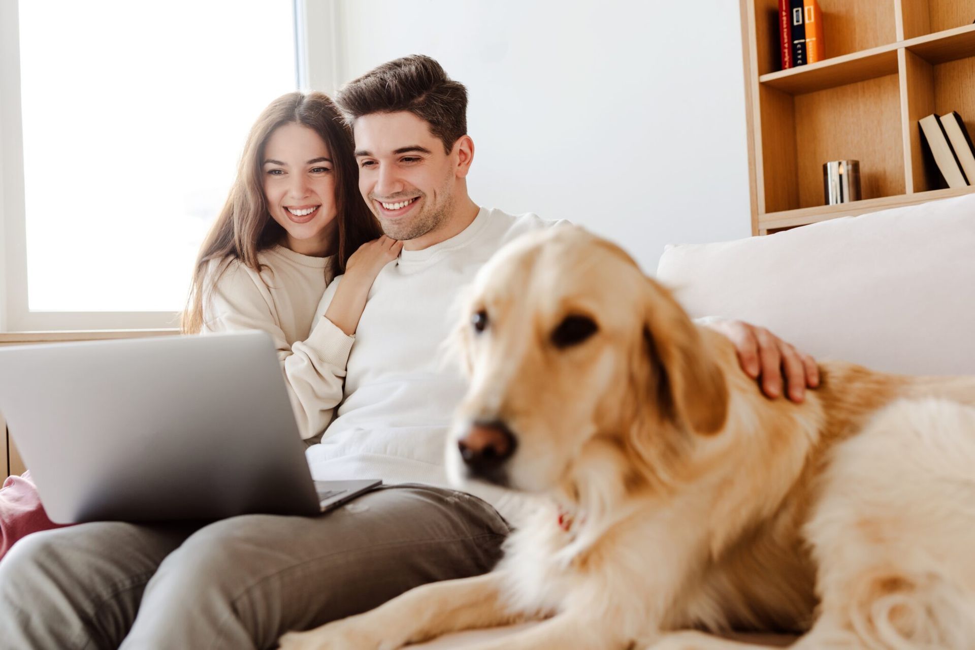 Couple on a couch using a laptop with a golden retriever in the foreground