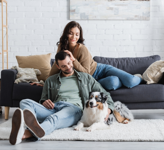 Couple relaxing on a gray couch with a dog in a bright living room