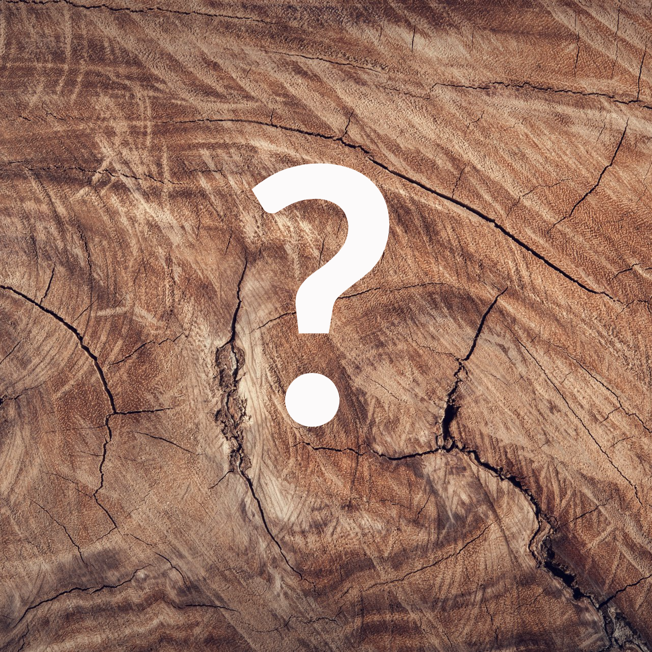 A question mark is on a piece of wood