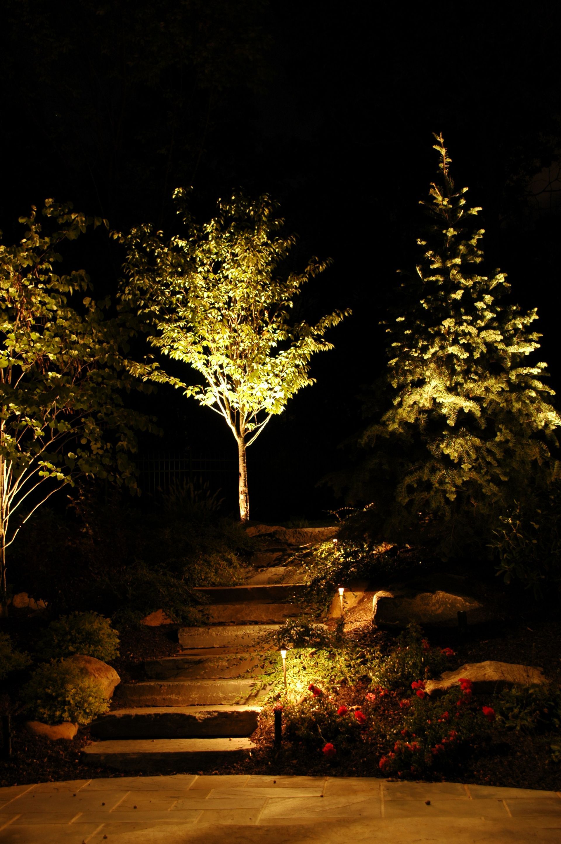 Pathlighting