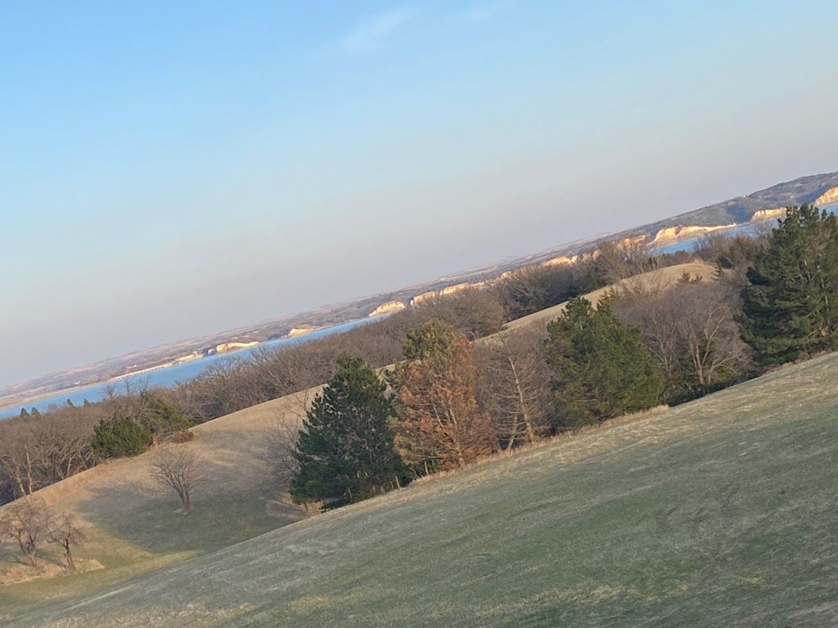Rolling grassy hillside with scattered evergreen trees under a clear blue sky, viewed at a slight tilt