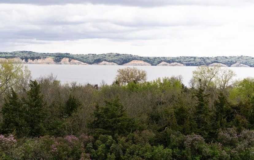 Wooded lakeshore with calm water and distant hills under a cloudy sky