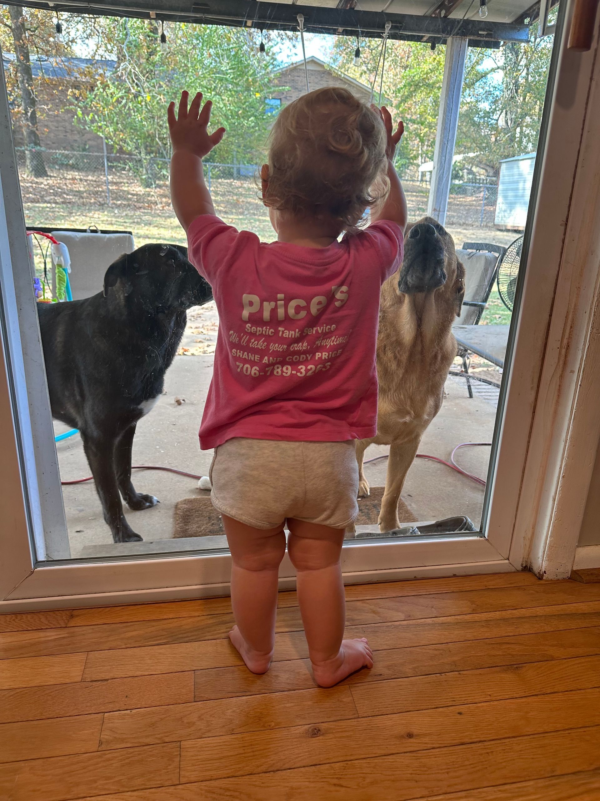 A toddler in a pink shirt waves at two dogs through a glass door.