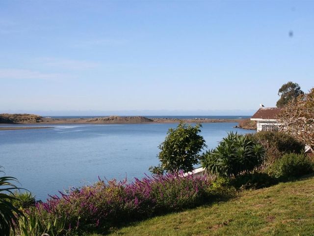 Calm blue water scene with flowering shrubs, a house, and distant low land under a clear sky.