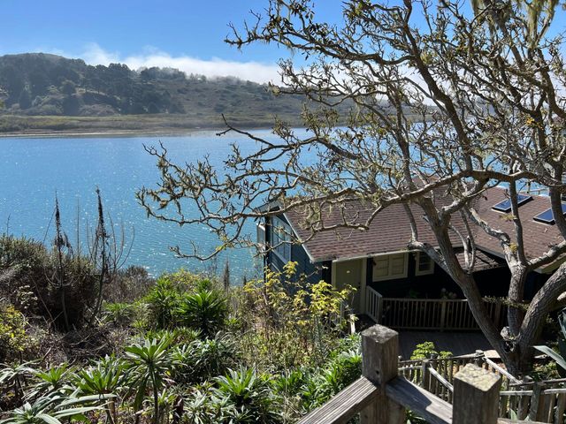 House overlooking a sparkling blue bay, with greenery and branches in the foreground and hills in the distance.