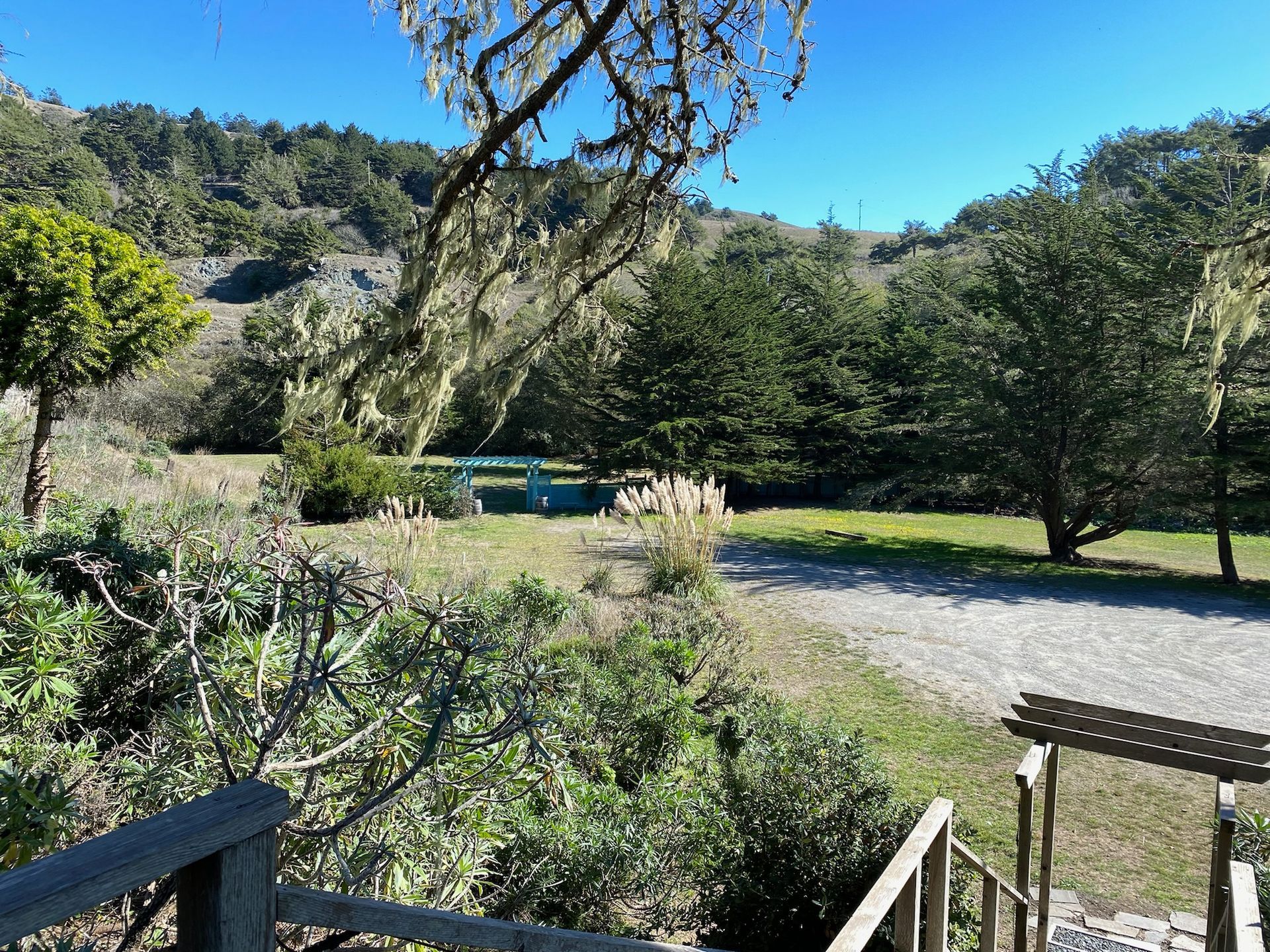Grassy clearing with trees, under blue sky, viewed from wooden steps.