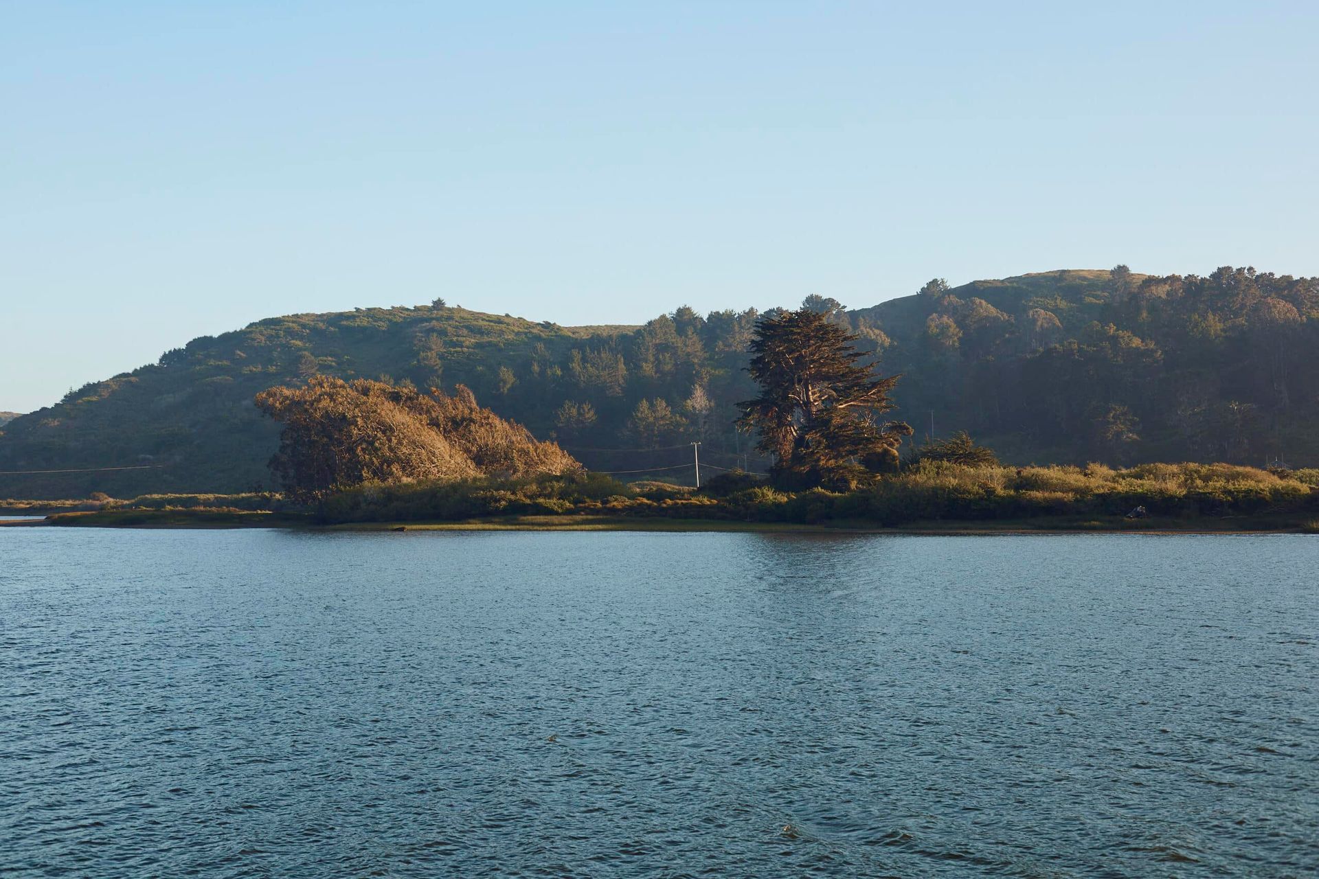 Calm water reflects a clear blue sky, in front of a forested hillside, bathed in sunlight.