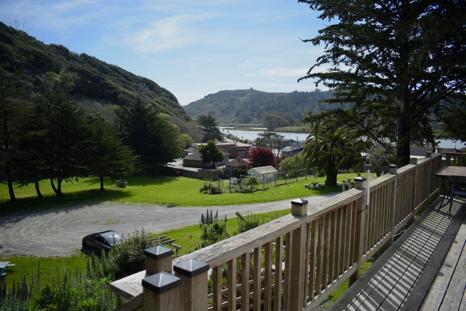 Grassy clearing with trees, under blue sky, viewed from wooden steps.