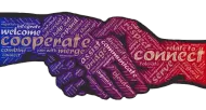 Do It With Me Online Marketing Cape Coral Florida