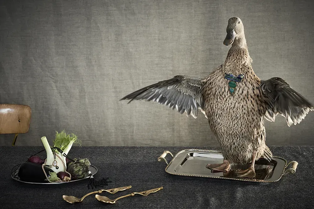 Judith Rasenberg Volkskrant Magazine