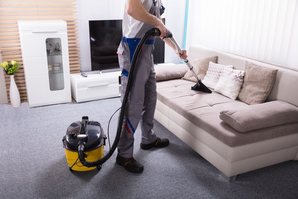 Person vacuuming a sofa in a living room, using a vacuum cleaner with a yellow canister.