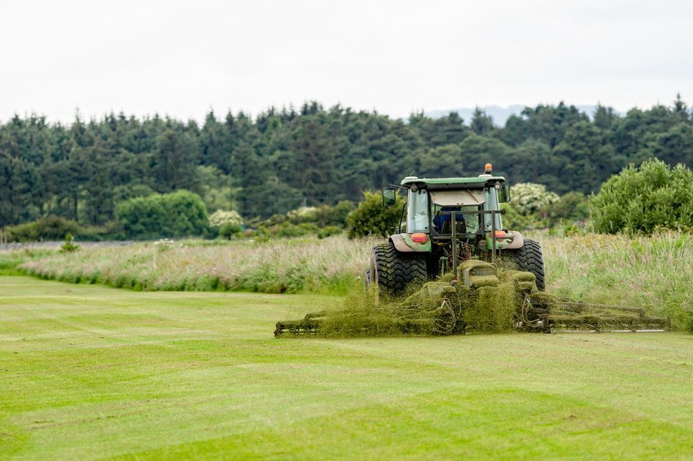 A Tractor is Mowing a Lush Green Field of Grass — 4WD Slashing & Large Area Mowing In Mullumbimby, NSW