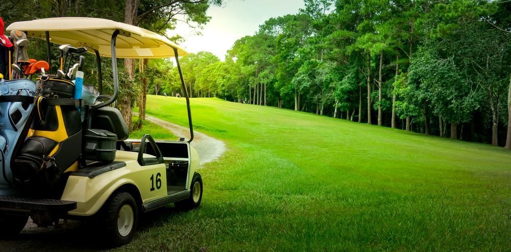A Golf Cart is Parked on the Side of a Golf Course — 4WD Slashing & Large Area Mowing In Mullumbimby, NSW