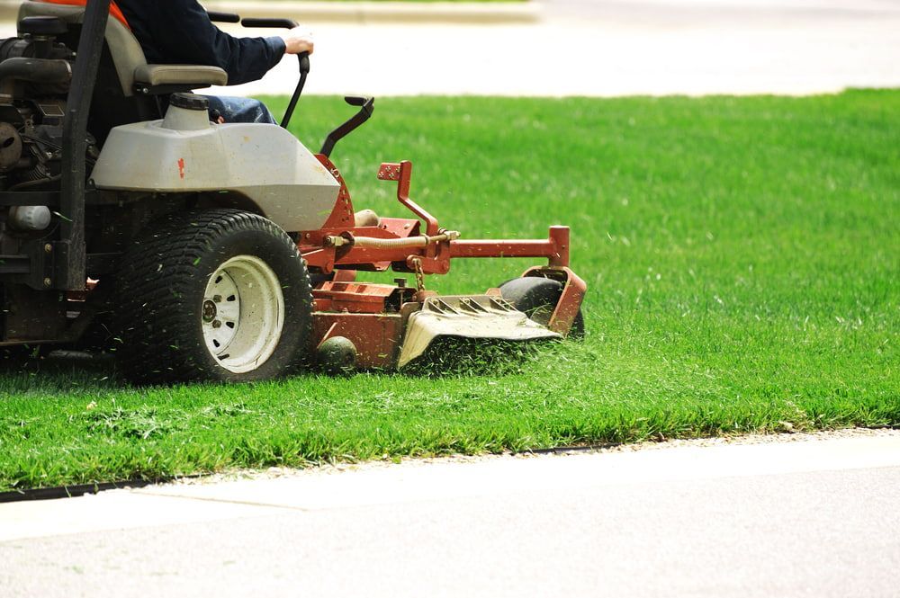 A Man is Riding a Lawn Mower on a Lush Green Lawn — 4WD Slashing & Large Area Mowing In Alstonville, NSW