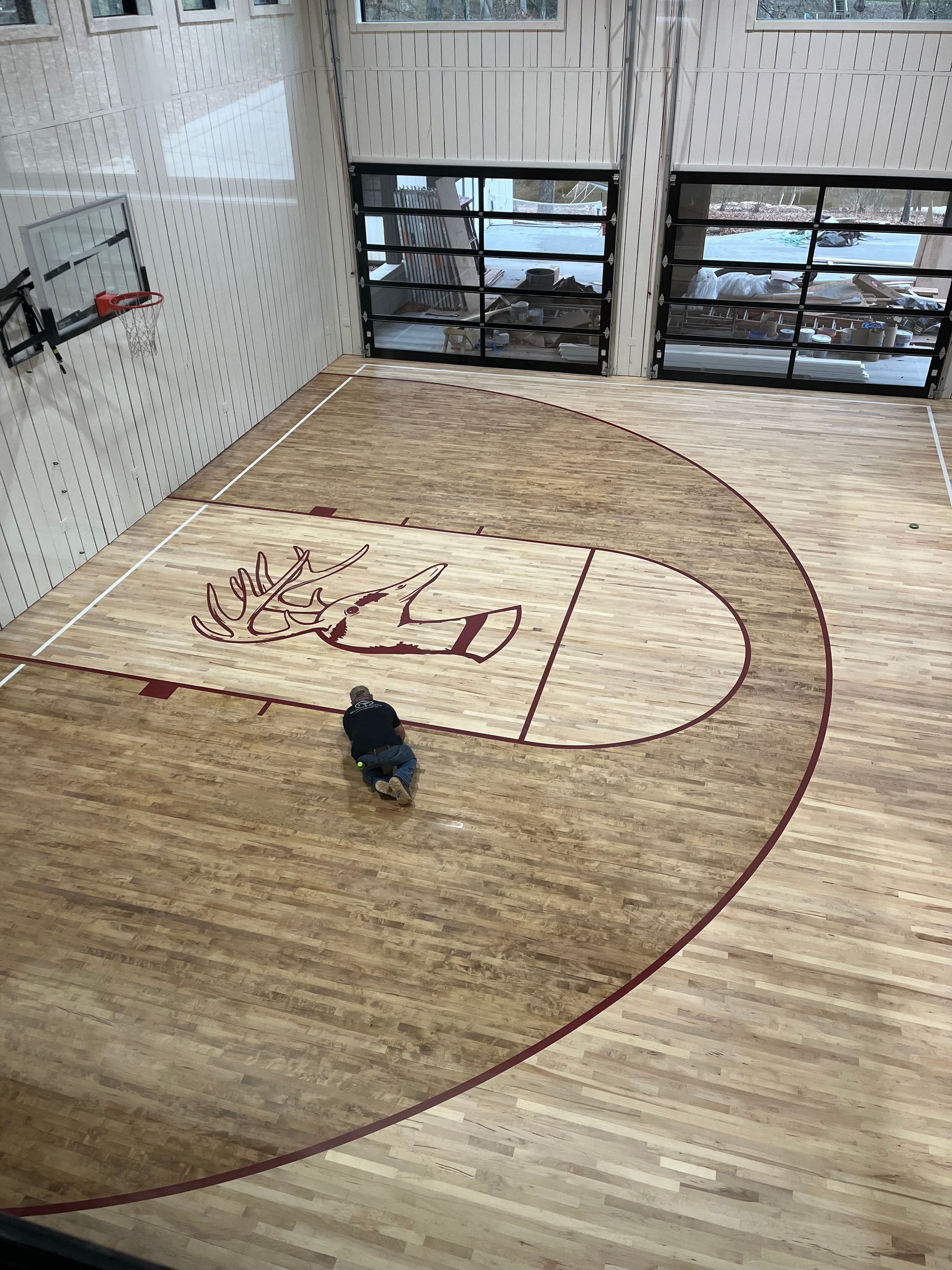 Small dog on a wooden indoor court with a large red arc and wall-mounted basketball hoops.
