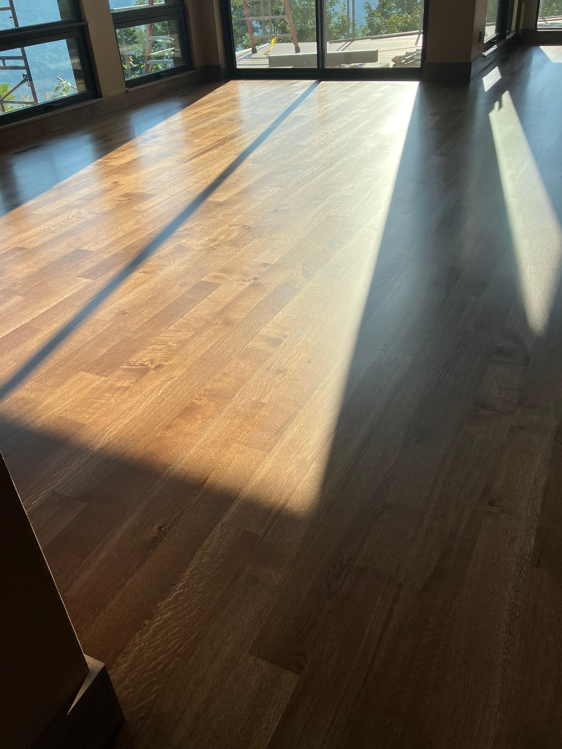 Sunlit empty room with hardwood floor and large windows casting long shadows