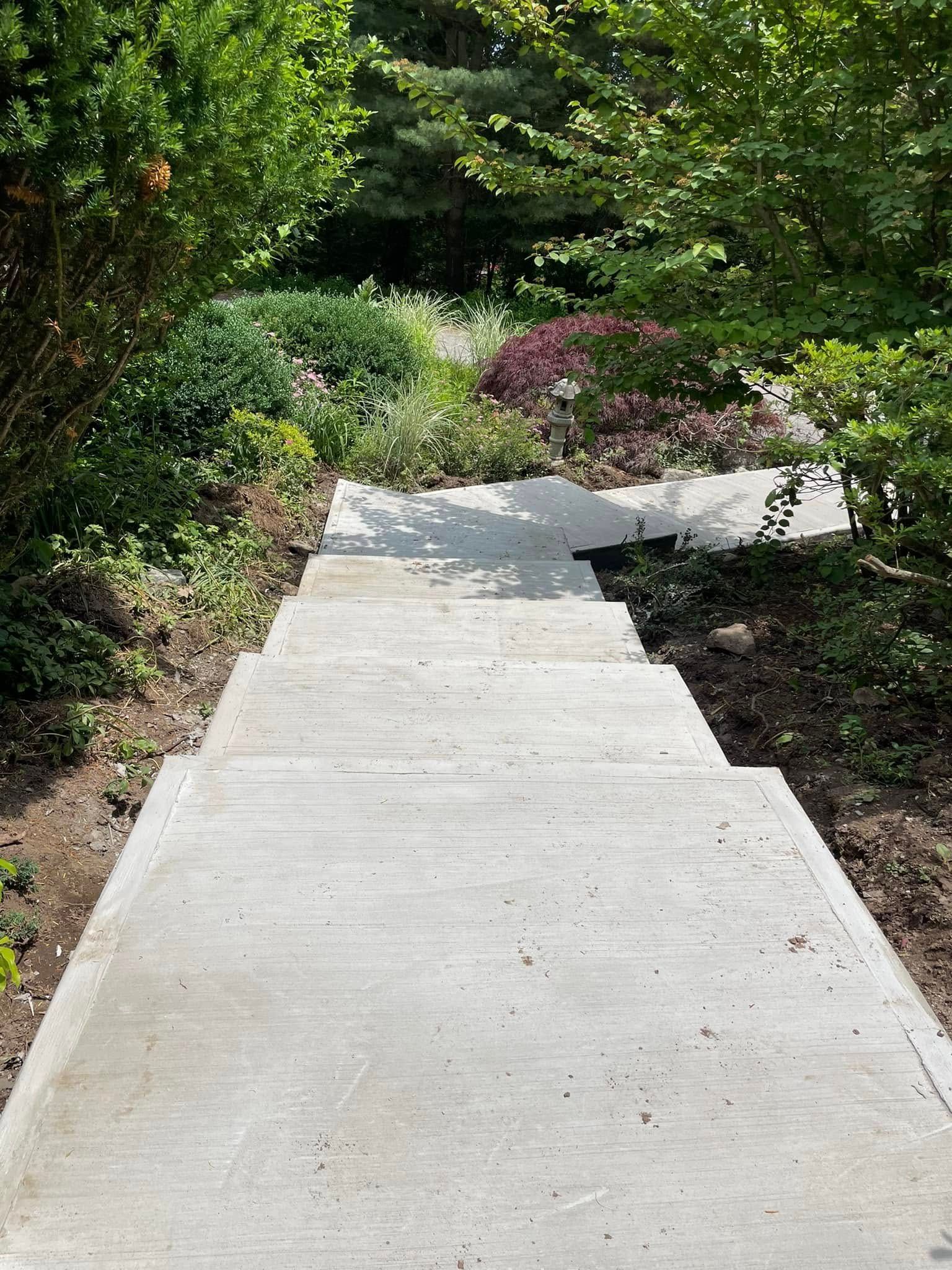 Concrete garden path leading through lush green shrubs and flowering plants