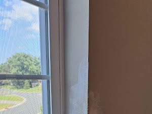 View through a window with a white sill, showing a road, green trees, and blue sky outside.