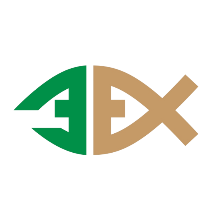 A&E Health and Wellness logo with green and gold stylized “A&E” text