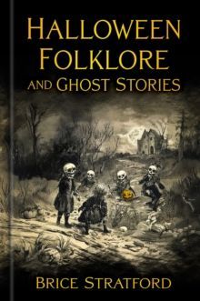 Book cover for