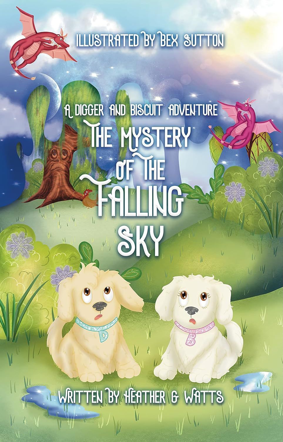 The Mystery of the Falling Sky by Heather G Watts