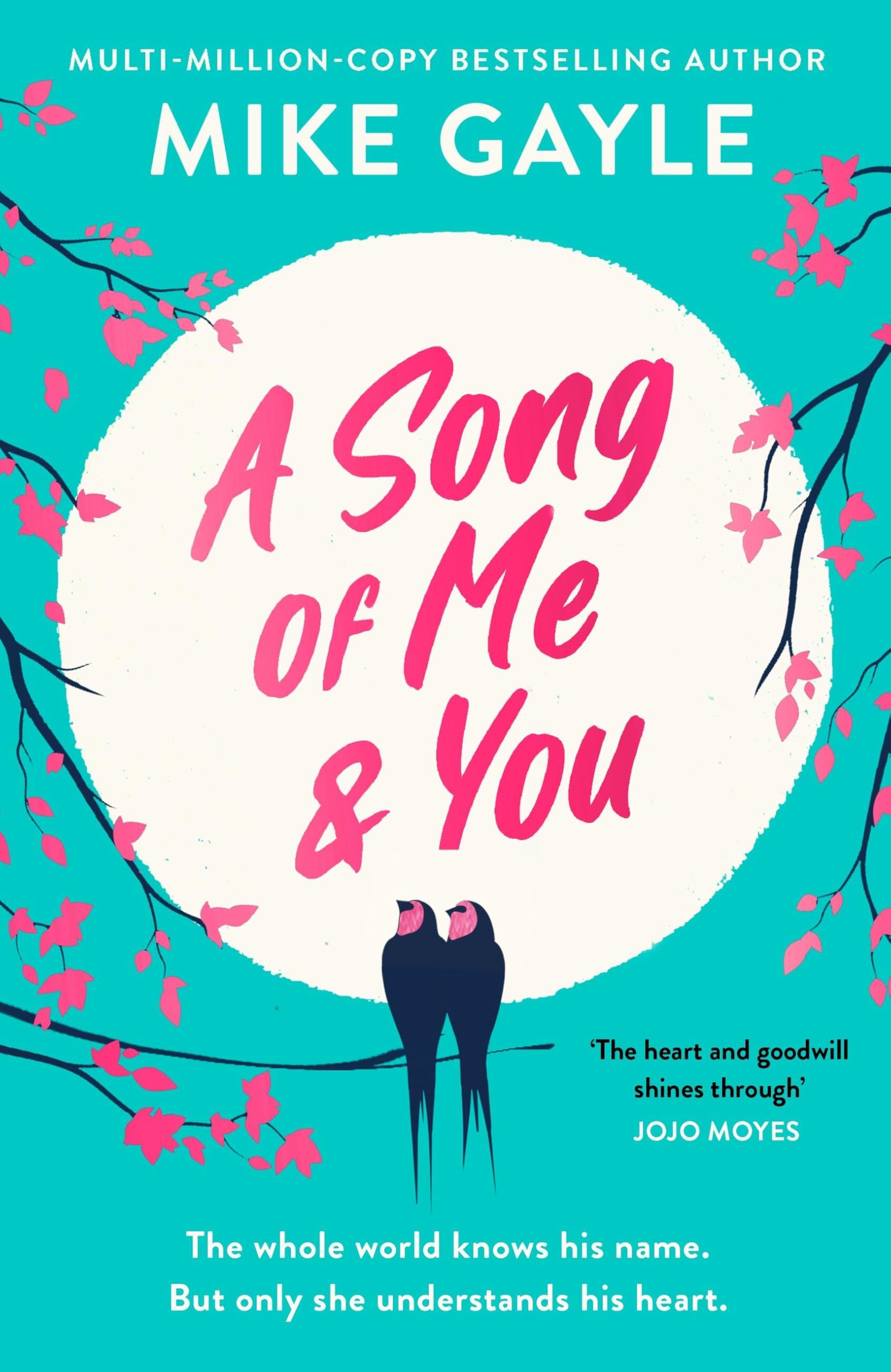 A Song of Me & You by Mike Gayle