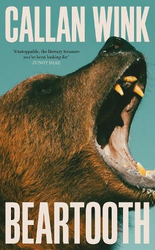 Black bear yawning with open mouth; text reads “CALLAN WINK” and “BEARTOOTH”