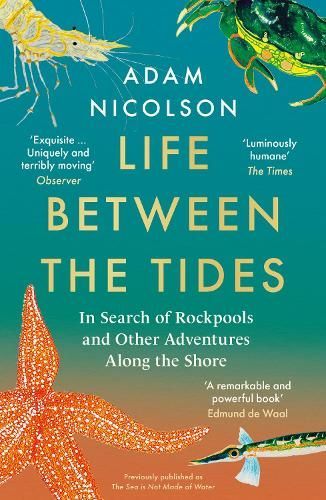 Book cover of “Life Between the Tides” by Adam Nicolson with sea creatures on a teal background