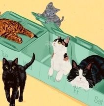 Five cats lounging in green litter boxes on a yellow background, with one tabby peeking over the back.