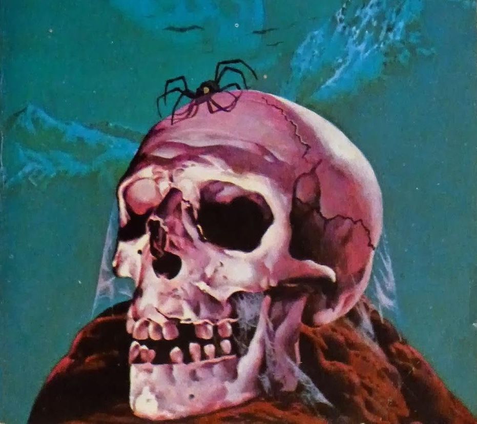Pink human skull on a teal background with a brown fur collar and a small fly on top