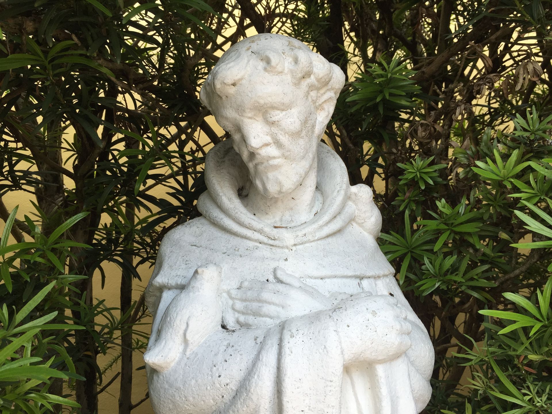 Resources for Catholics
