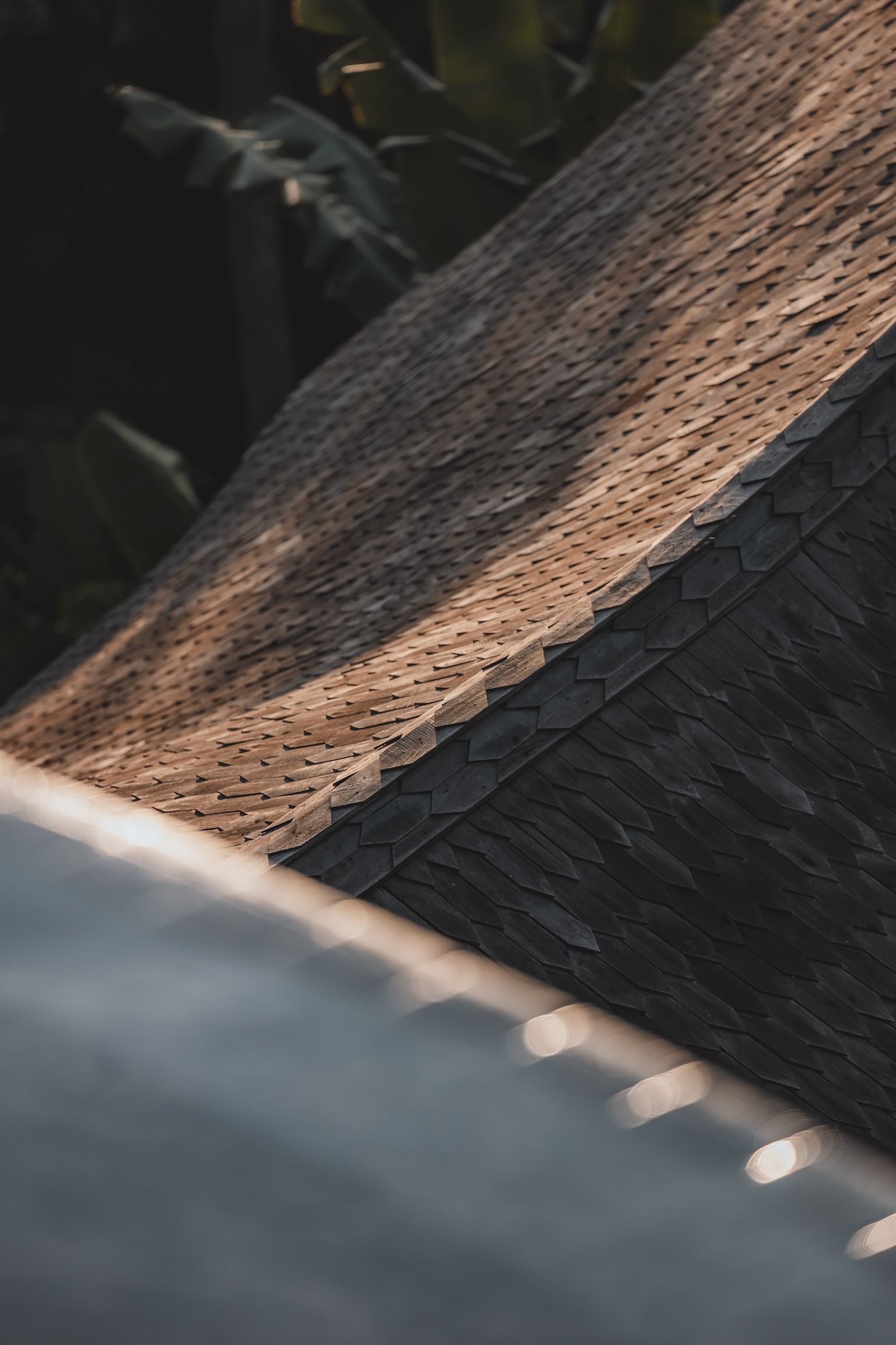 Close-up of a rough wooden roof edge in warm light, with blurred greenery in the background