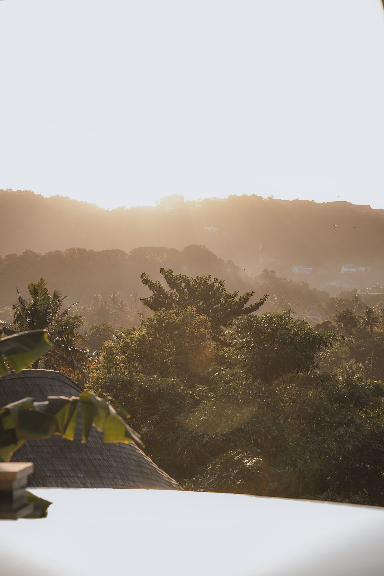 Sunrise over misty treetops with a small arched bridge in the foreground