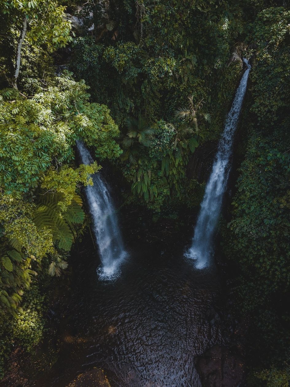 Two waterfalls cascading into a dark forest pool surrounded by lush green foliage
