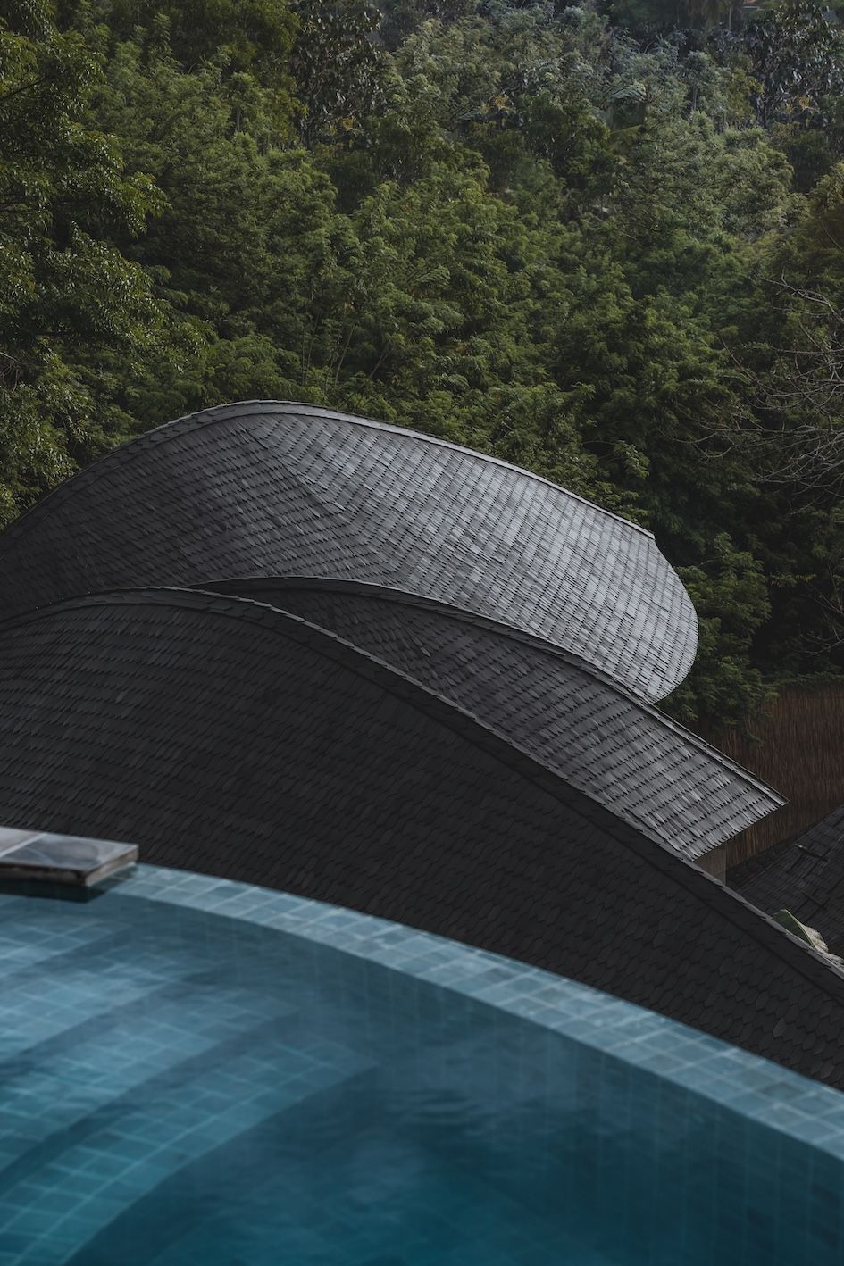 Curved black-roofed structure beside a blue pool, with dense green trees in the background