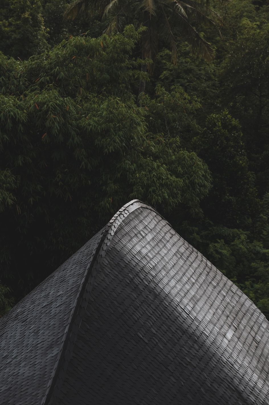 Dark shingled roof peak in front of dense green forest canopy