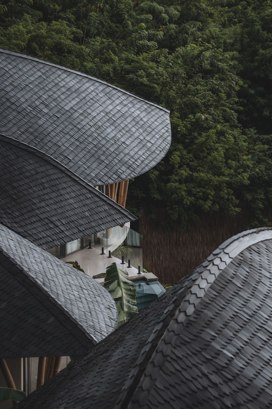 Overlapping dark gray tiled rooftops beside a lush green forest on a hillside