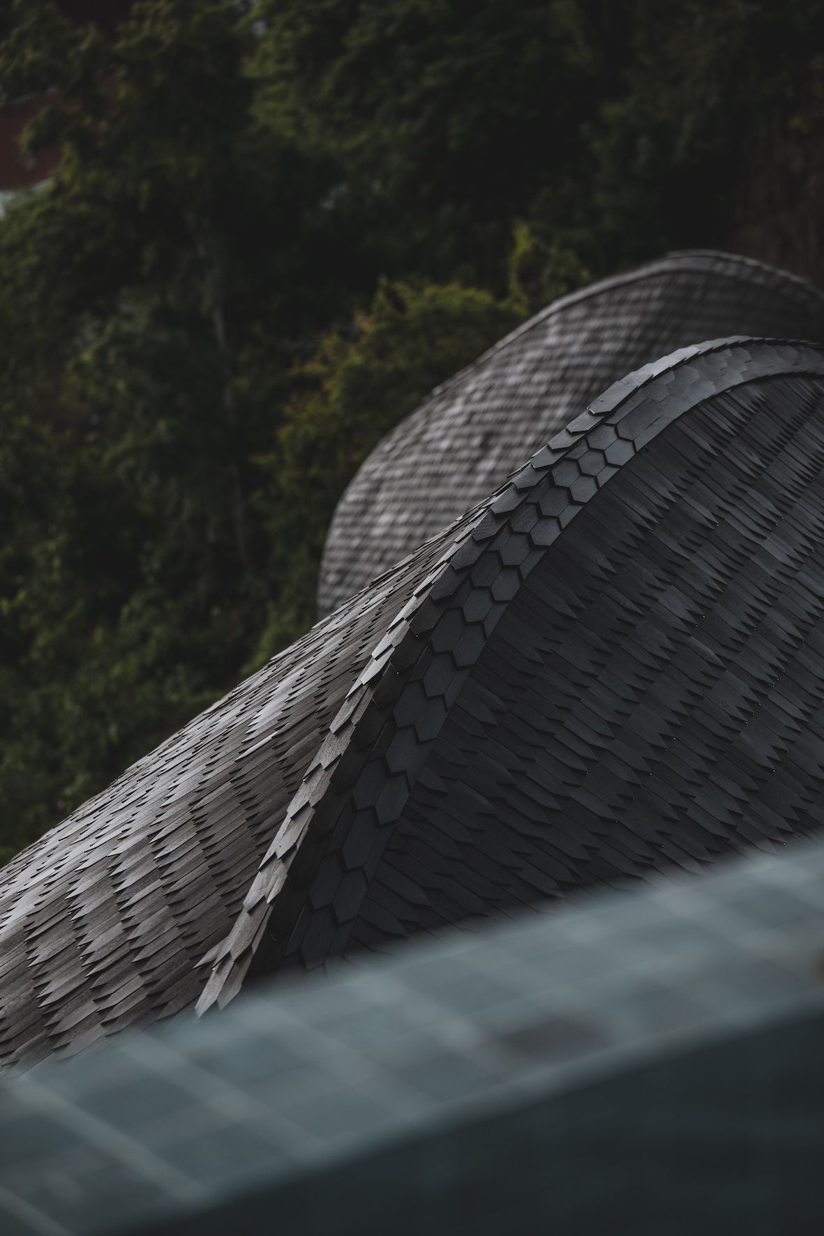 Curved shingled roof in dark, moody light with a blurred green forest background