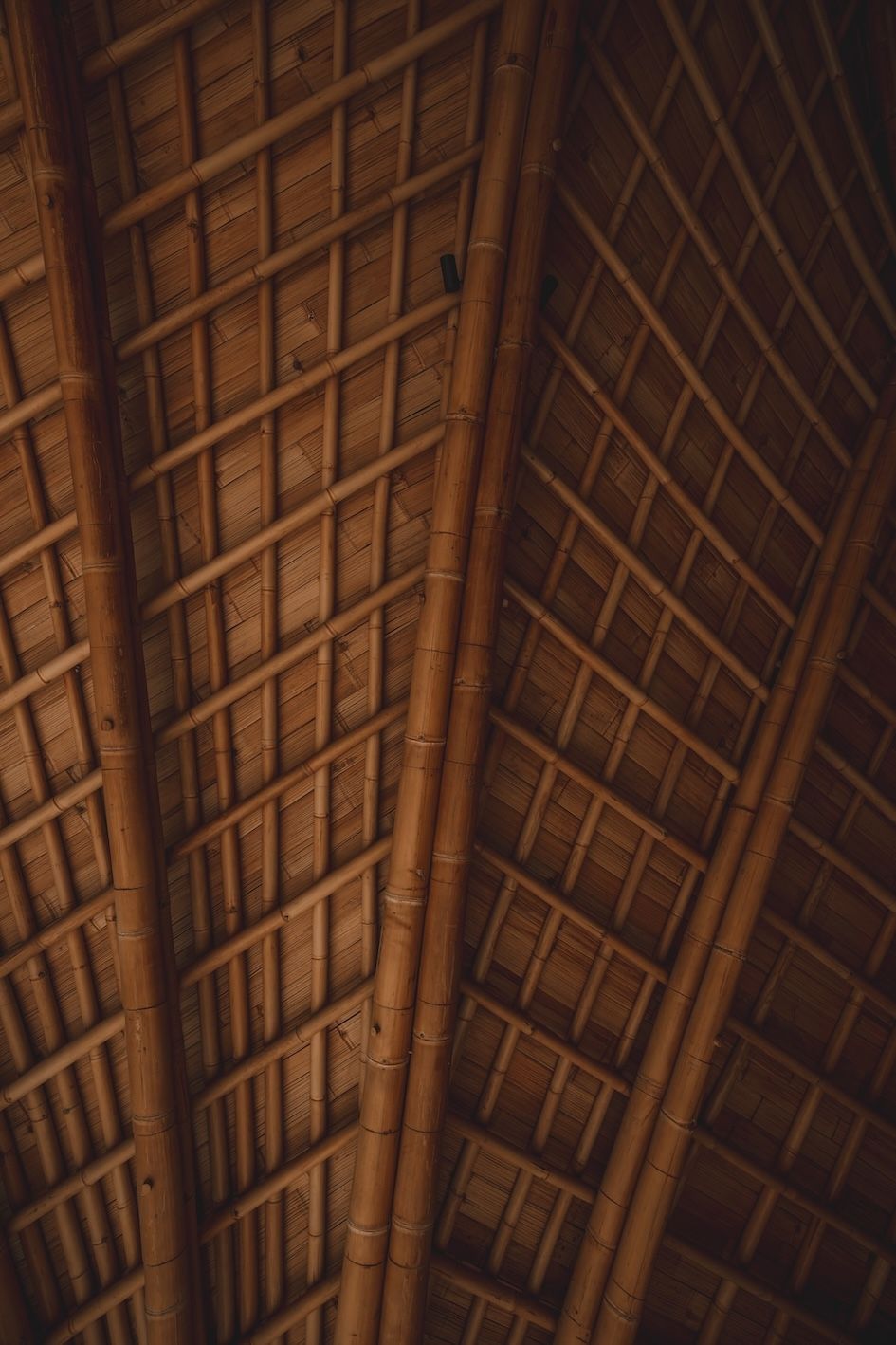 Wooden cathedral ceiling with dark beams and woven panels, viewed from below.